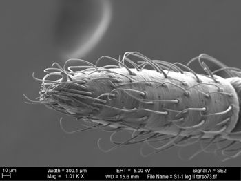 Media type: image; Invertebrate Zoology 131275